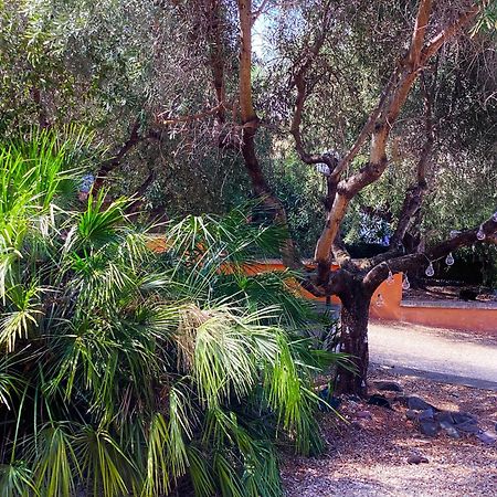 Locazione Turistica Dream House Marzia Βίλα Ρώμη Εξωτερικό φωτογραφία