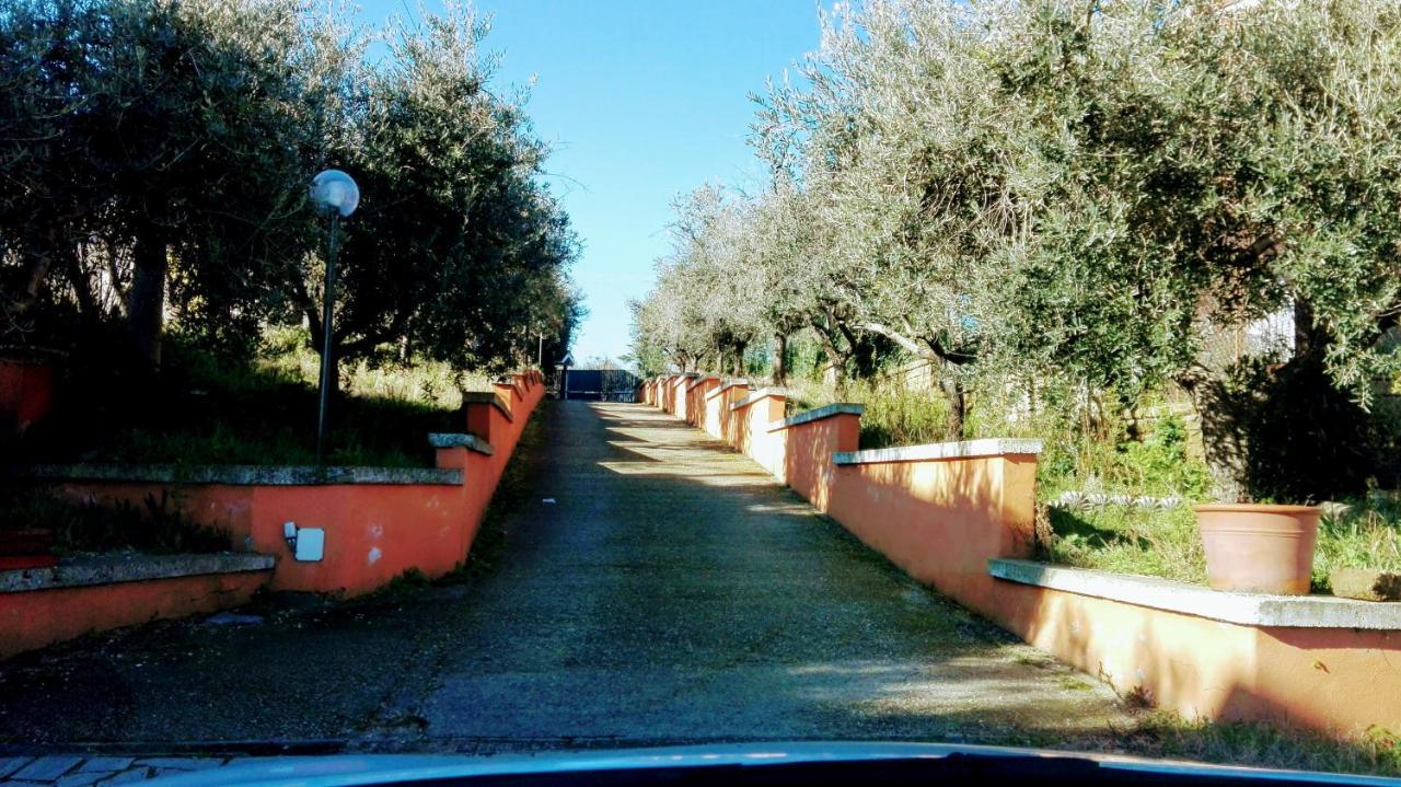 Locazione Turistica Dream House Marzia Βίλα Ρώμη Εξωτερικό φωτογραφία