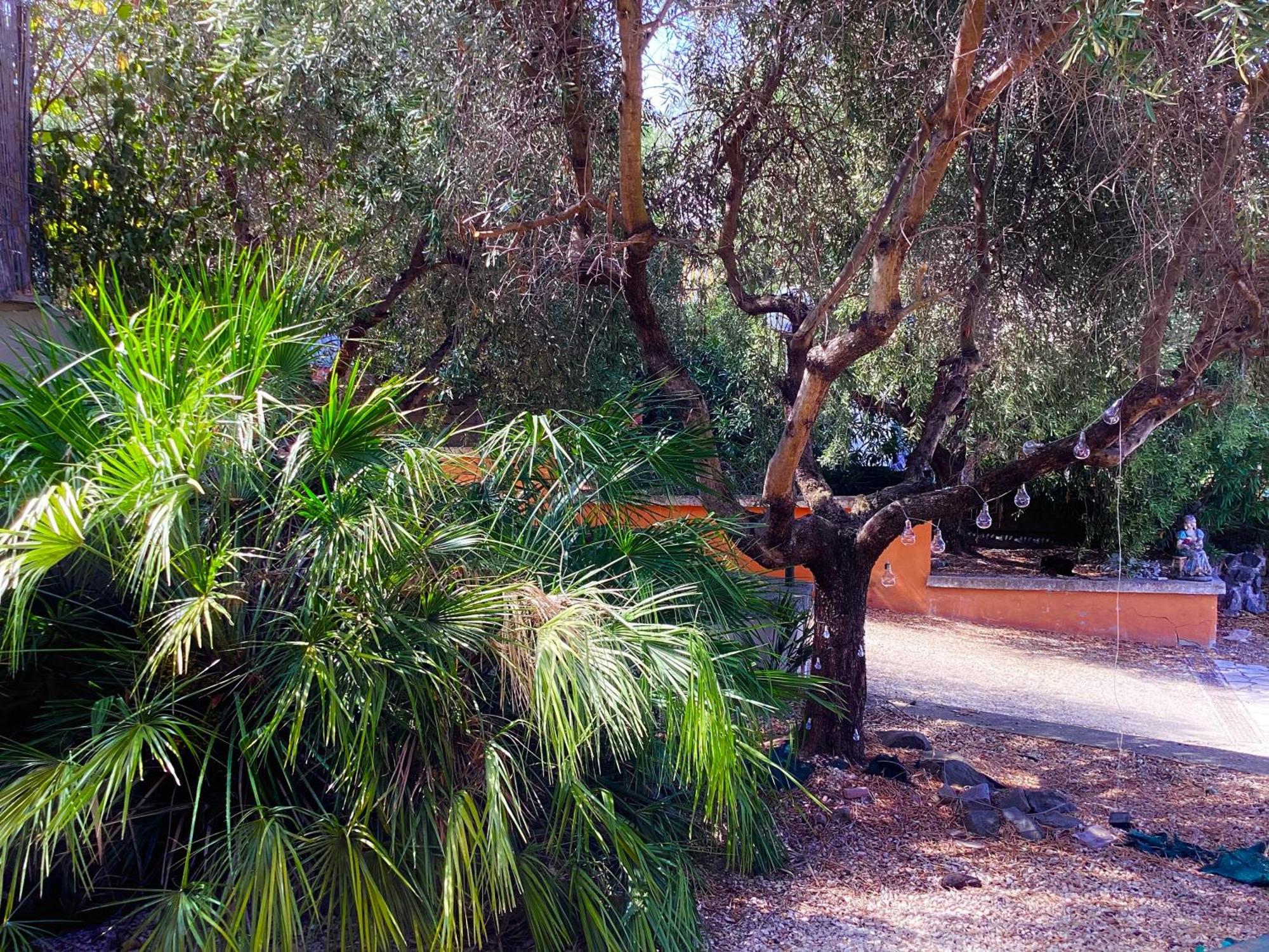 Locazione Turistica Dream House Marzia Βίλα Ρώμη Εξωτερικό φωτογραφία
